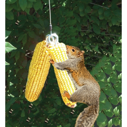 Kcpolre Peanut Bird Feeder or Squirrel Feeder for Whole Peanut and Suet Wreath Style Feeder with Bonus Pack of Unsalted Hampton Farms Peanuts with Hanging Hook 
