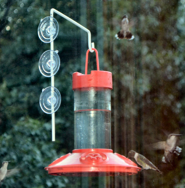 Window Suction Cup Hanger - Image 2