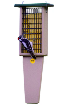 Rec Pileated Suet Feeder