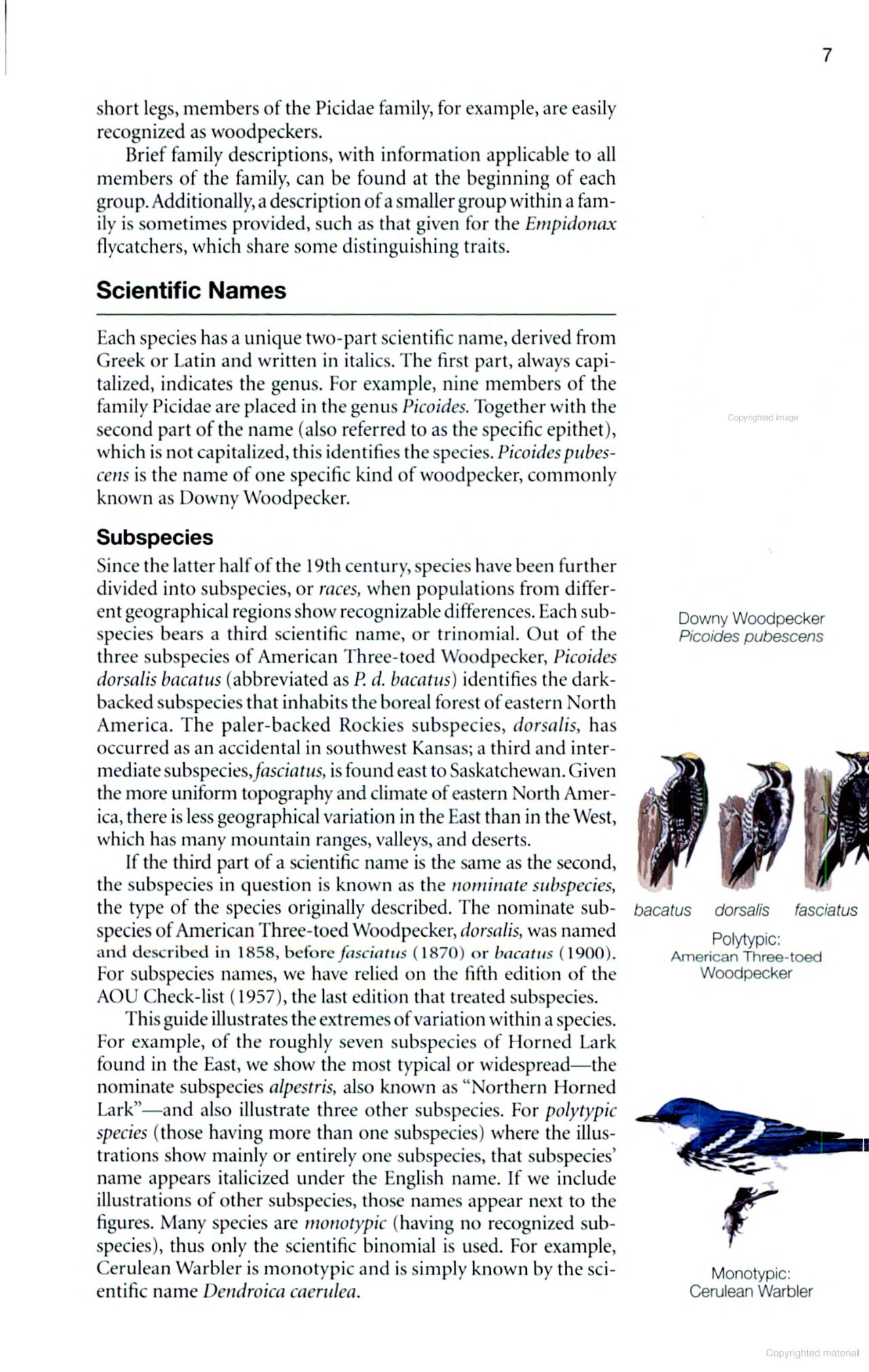 National Geographic Birds of Eastern North America - Image 4