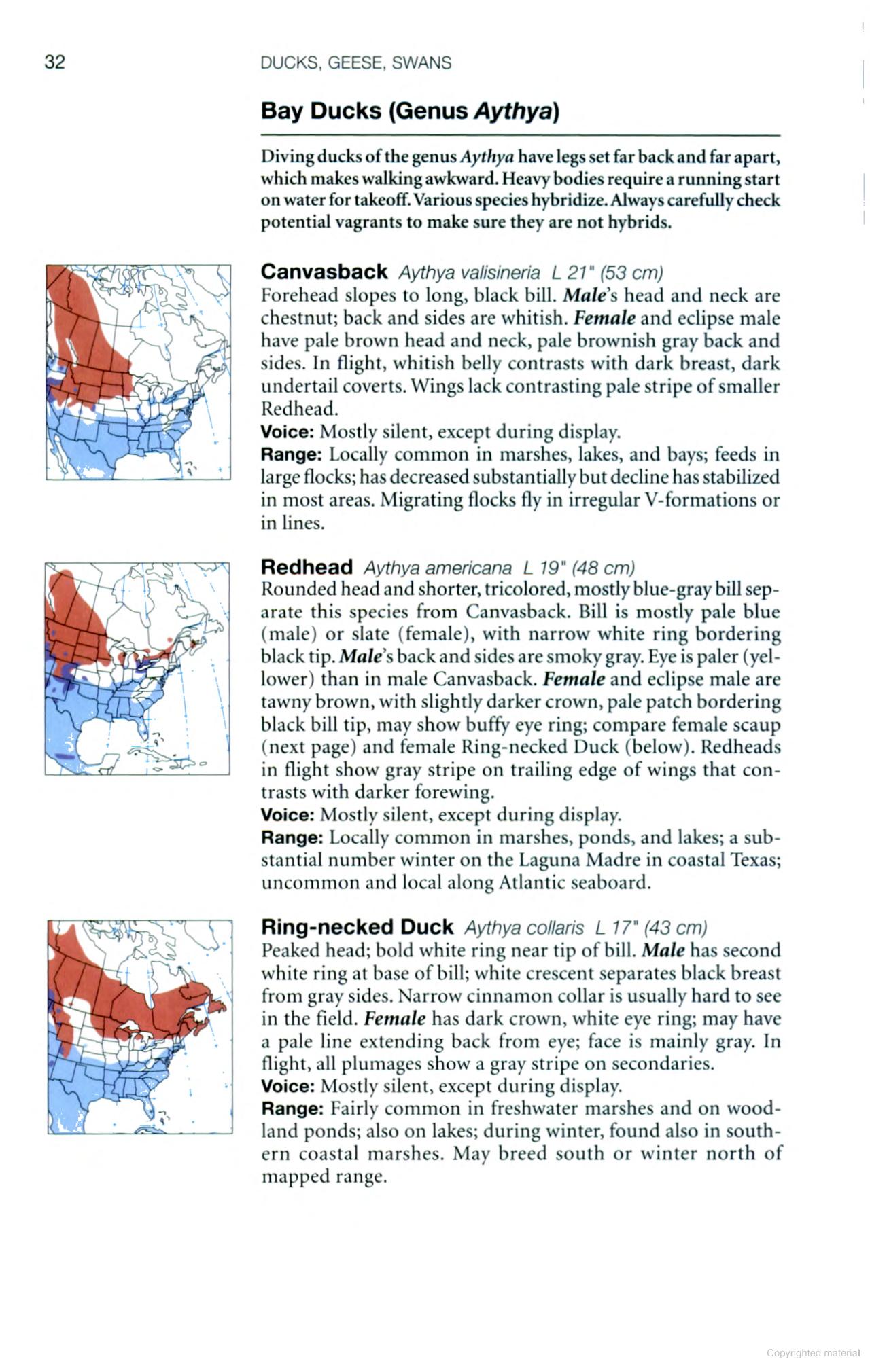 National Geographic Birds of Eastern North America - Image 5