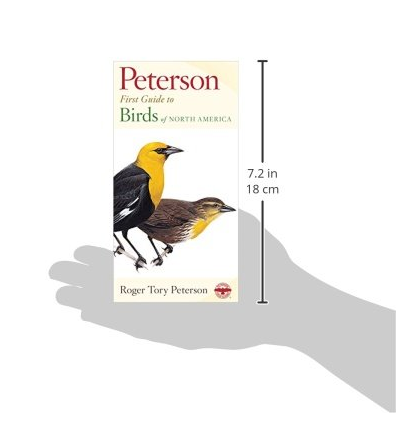 Peterson First Guide Birds - Image 7