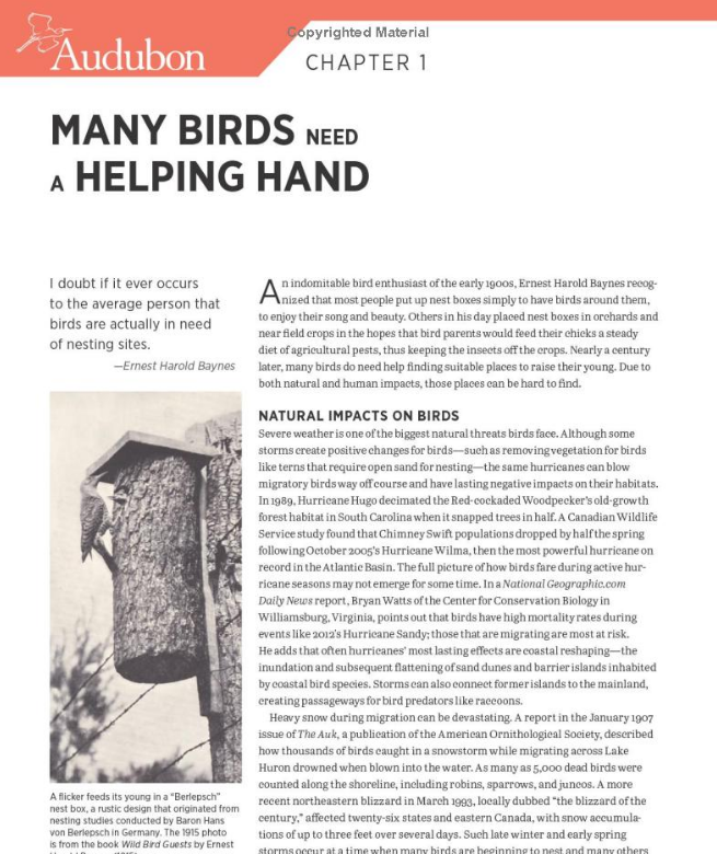 Audubon Birdhouse Book - Image 5
