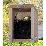 window nest