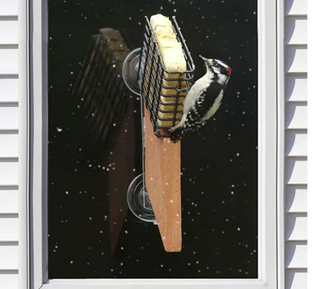 Suet Window Feeder - Image 3