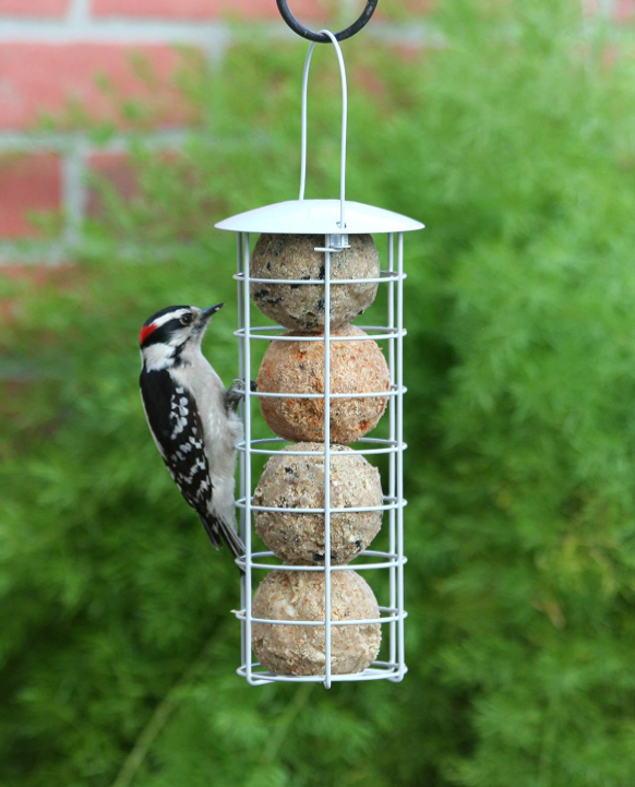 Hot Pepper Suet Balls - Image 2