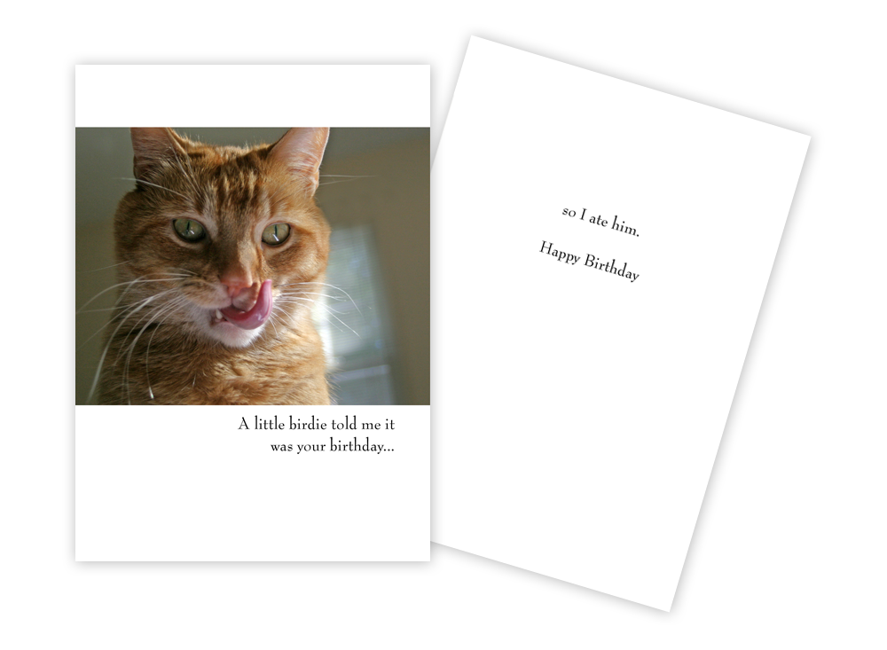 Sun Day Greeting Cards