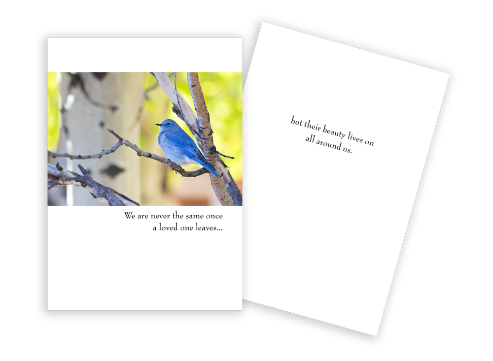 Sun Day Greeting Cards - Image 4