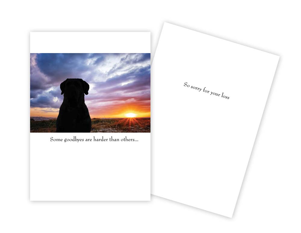 Sun Day Greeting Cards - Image 3