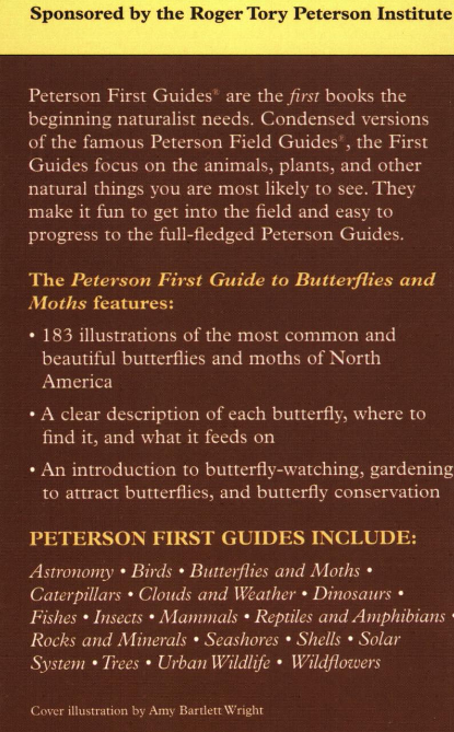 Peterson First Guide Butterflies - Image 5