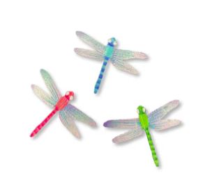 Roeda - Insects and Bugs
