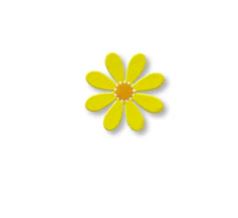 Roeda Magnets - Flowers