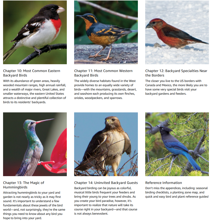 Backyard Birding & Butterfly Gardening - Image 5