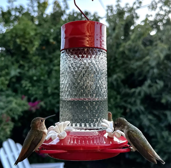 Charming Cherry Hummingbird Feeder - Image 2