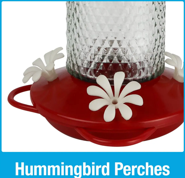 Charming Cherry Hummingbird Feeder - Image 7