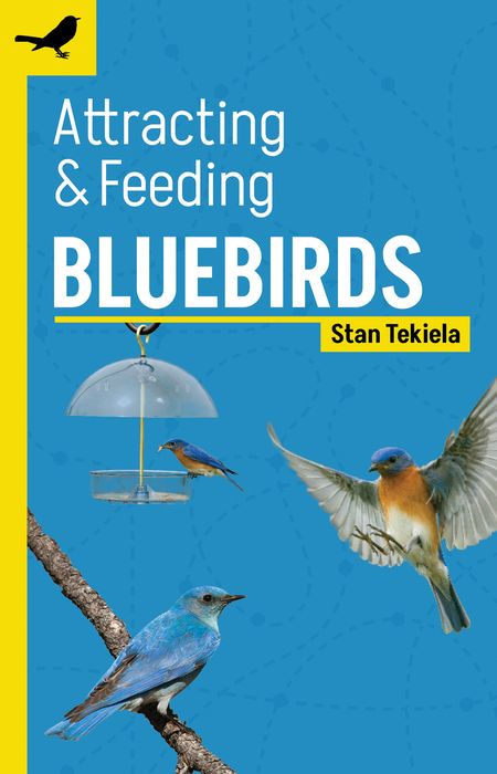 Bluebird Gift Box - Image 4
