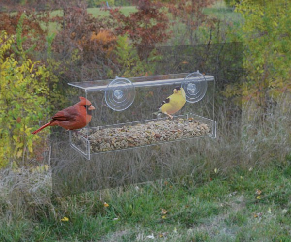 Mirrored Window Feeder