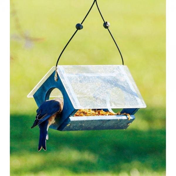 Bluebird Gift Box - Image 3