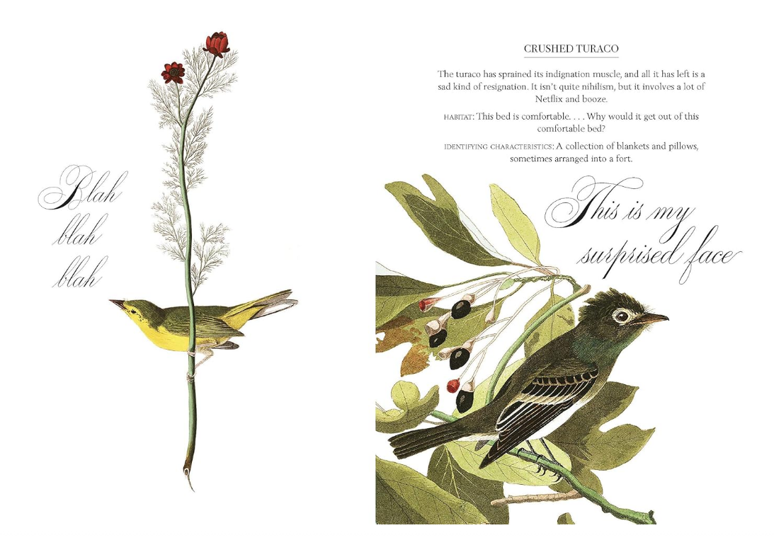 Effin' Birds Book - Image 2