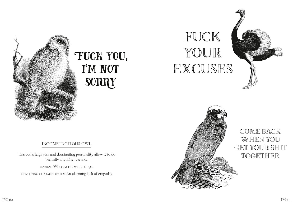Effin' Birds Book - Image 4