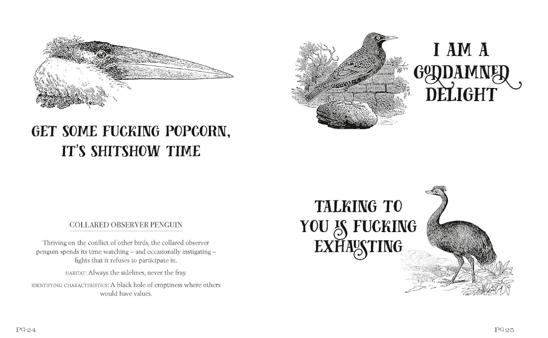 Effin' Birds Book - Image 5