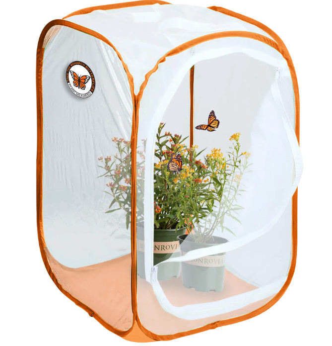 Monarch Mesh Incubator