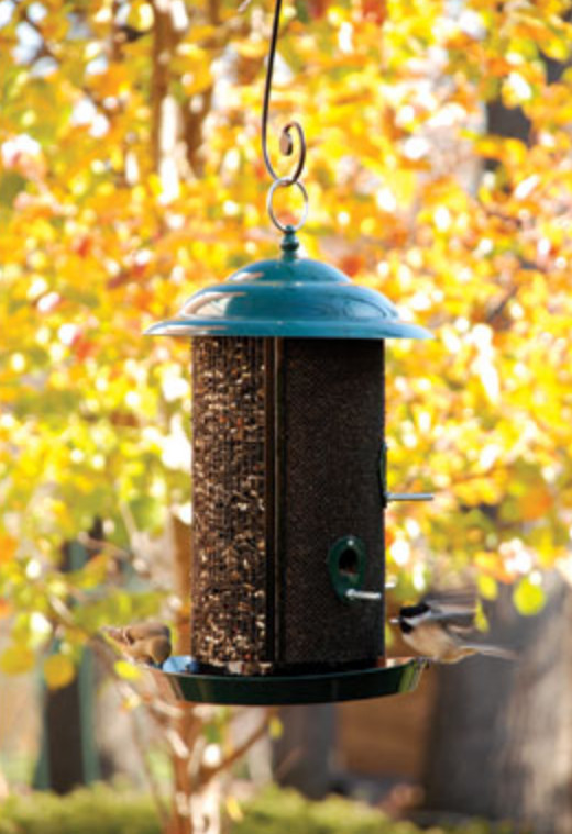 Large Combo Feeder