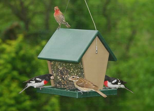 Recycled Plastic Large Hopper