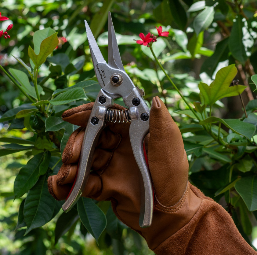 Long Needle Nose Secateurs - Image 2