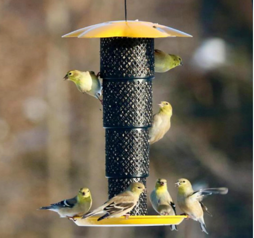 Sunflower Kernel Mesh Feeder - Image 4