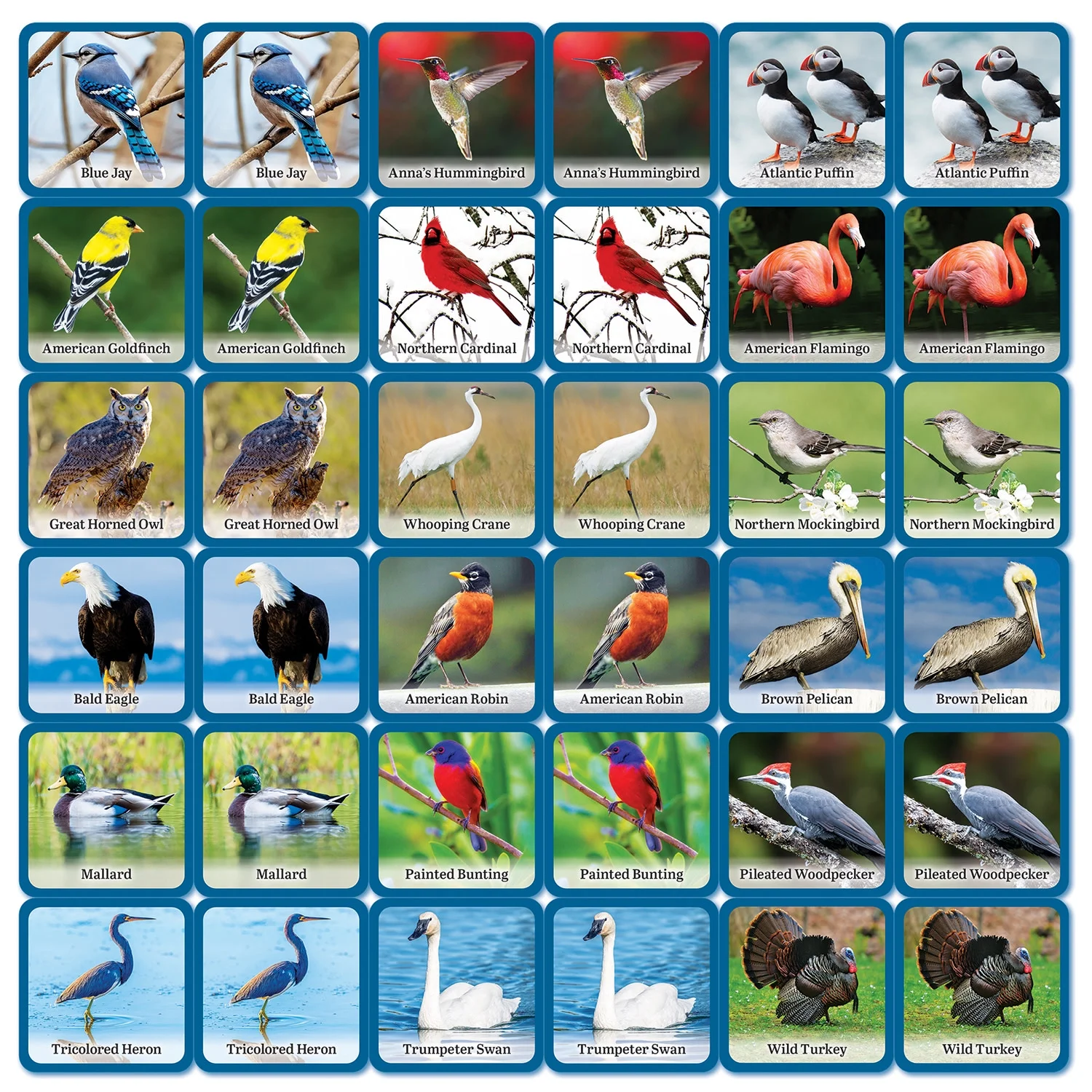 Audubon Bird Matching Game - Image 2