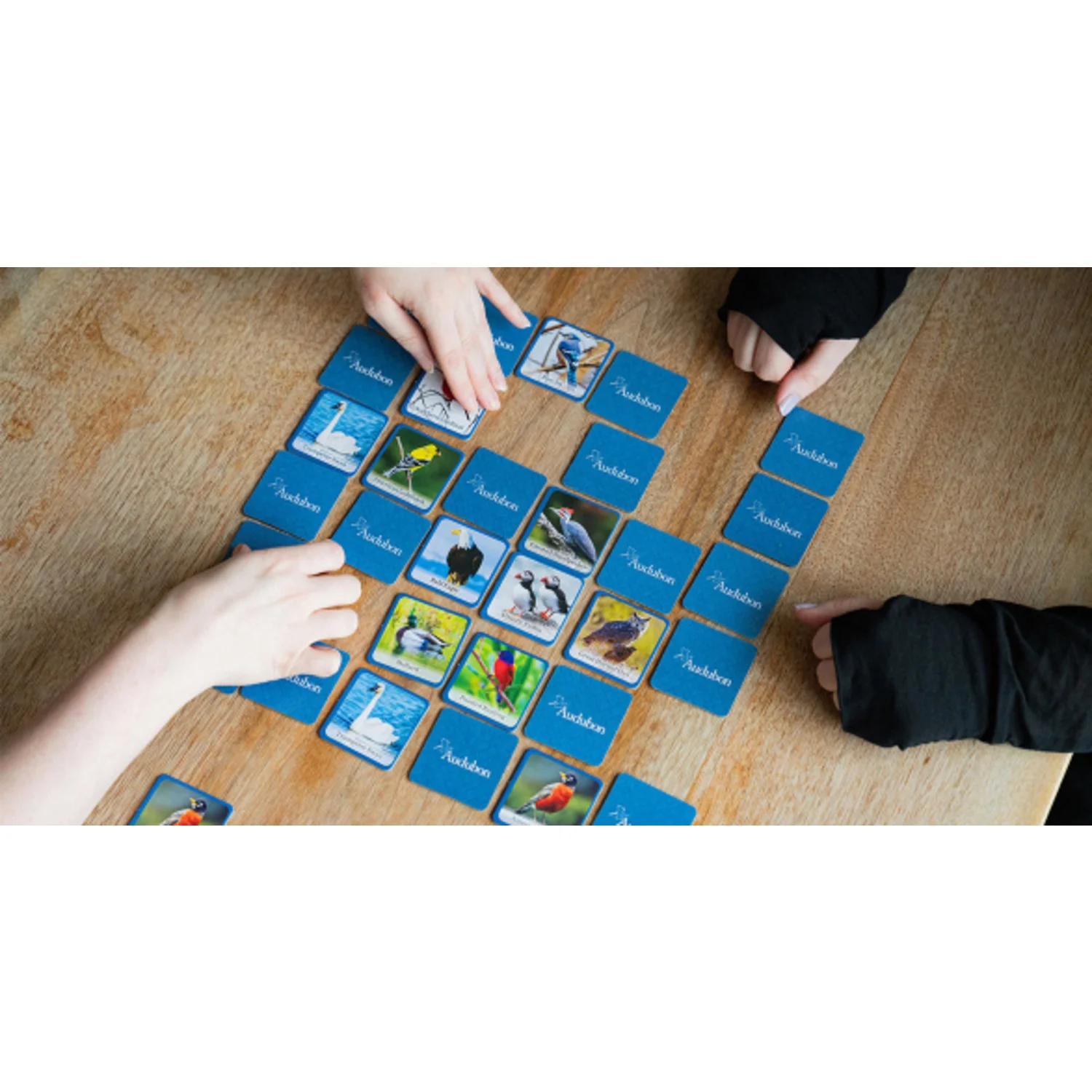 Audubon Bird Matching Game - Image 3