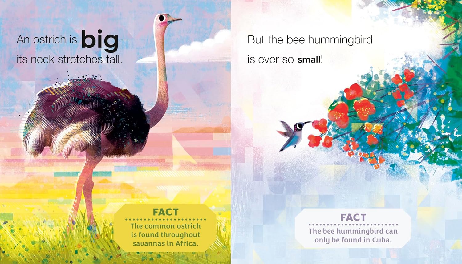 Birding For Babies: Opposites - Image 2