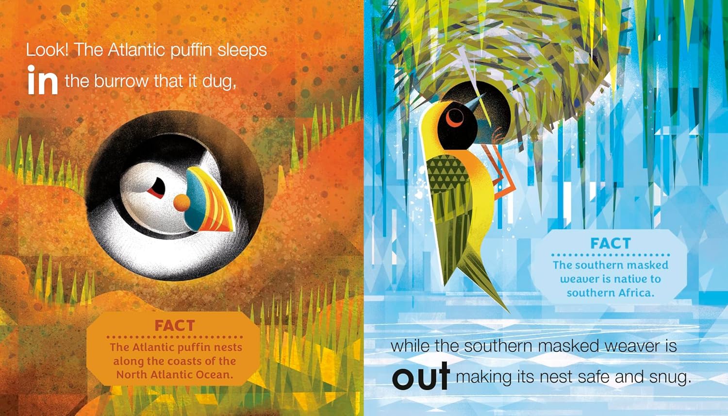 Birding For Babies: Opposites - Image 3