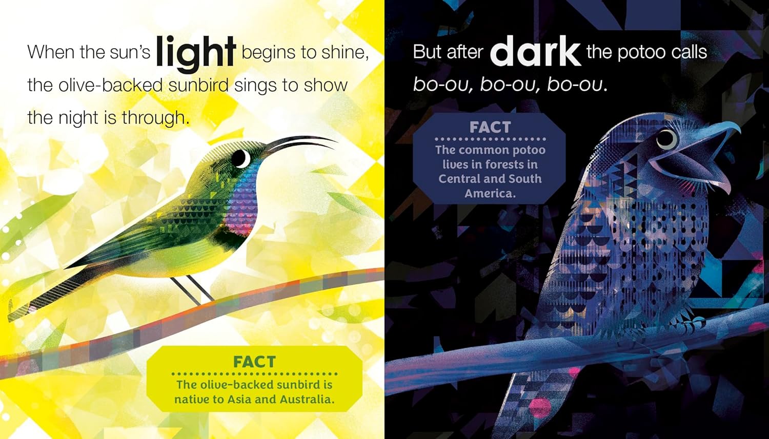 Birding For Babies: Opposites - Image 4