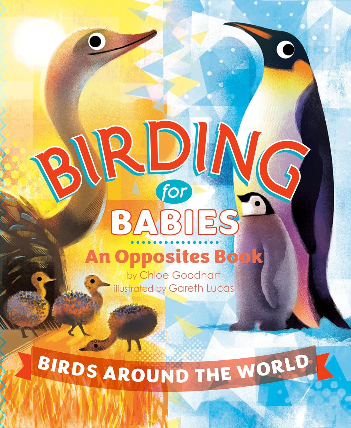 Birding For Babies: Opposites