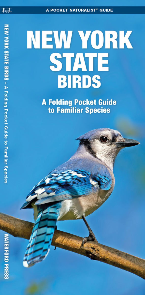 WP NY Birds Folding Guide