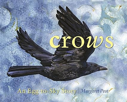 Crows: An Egg to Sky Story