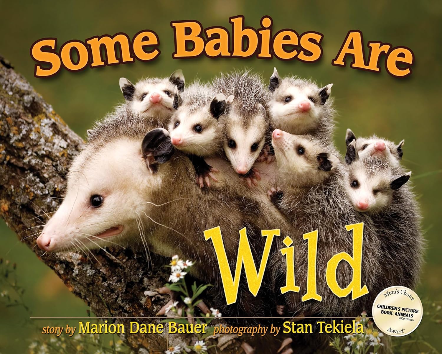 Some Babies Are Wild