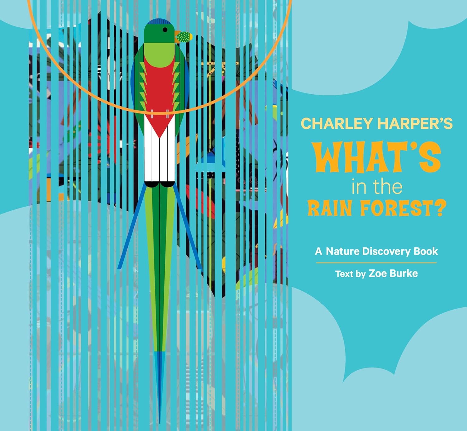 What's in the Rainforest?