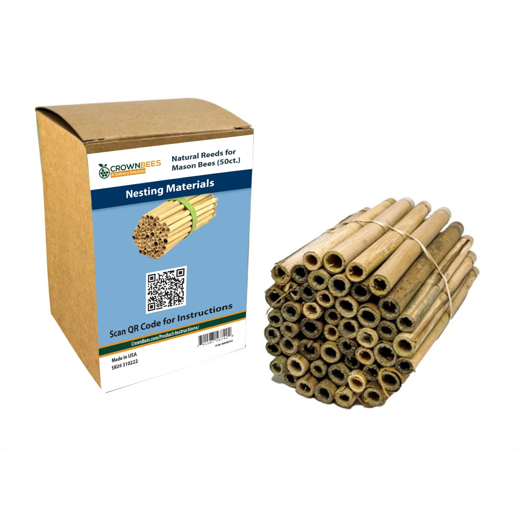 Spring Natural Reeds