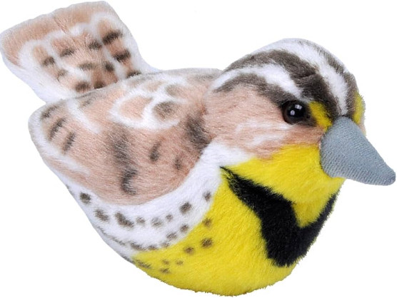Audubon Bird Meadowlark