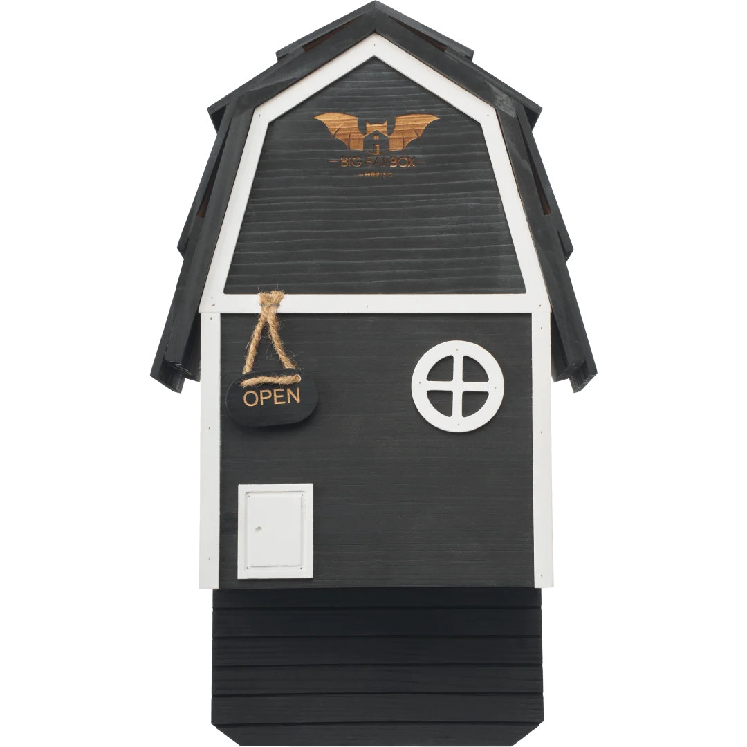 Bat Barn Junior