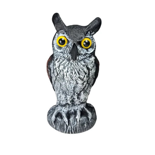 Baby Owl