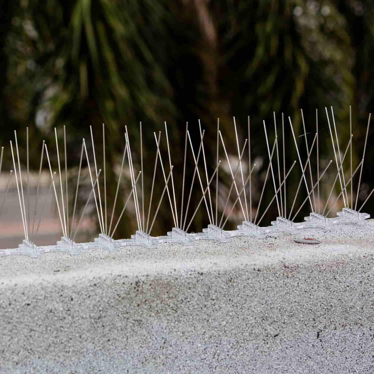 Stainless Bird Spikes
