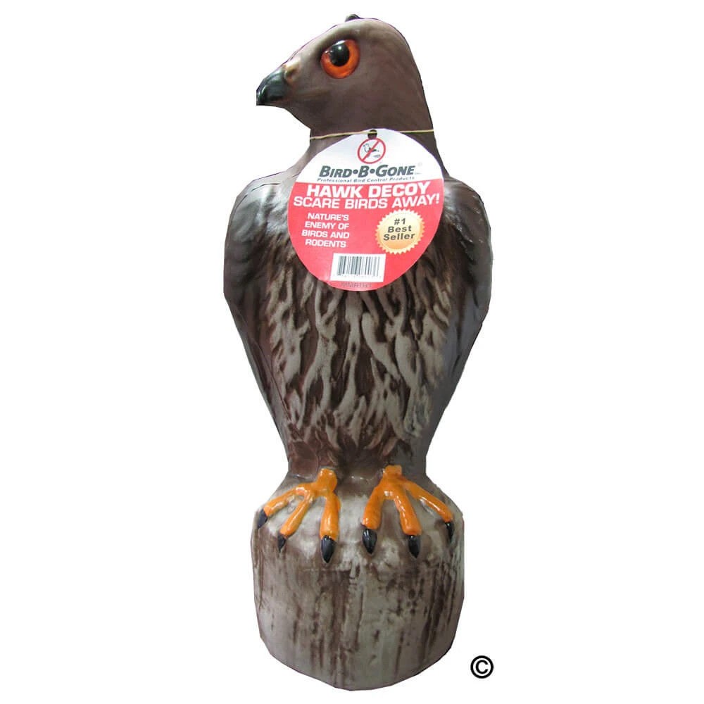 Bird B Gone Hawk