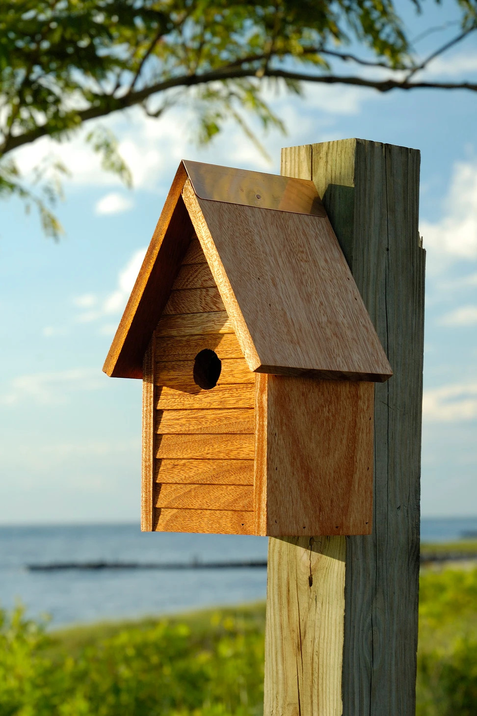 Starter House