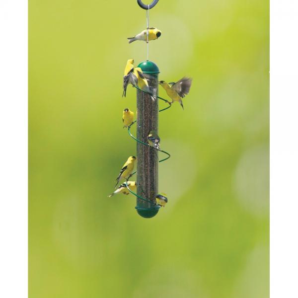 17" Spiral Finch Feeder - Green